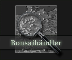 Bonsaihändler